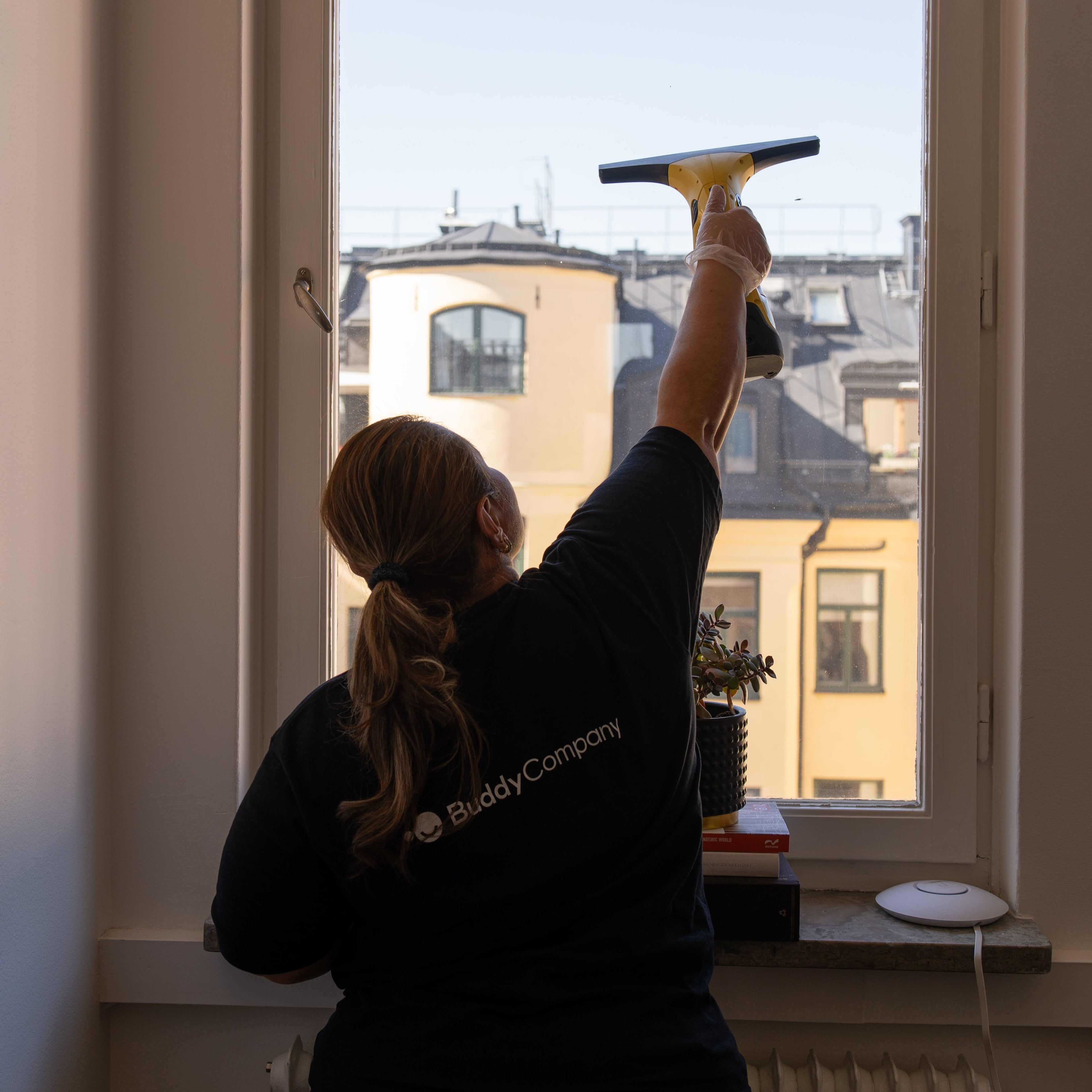Window Cleaning
