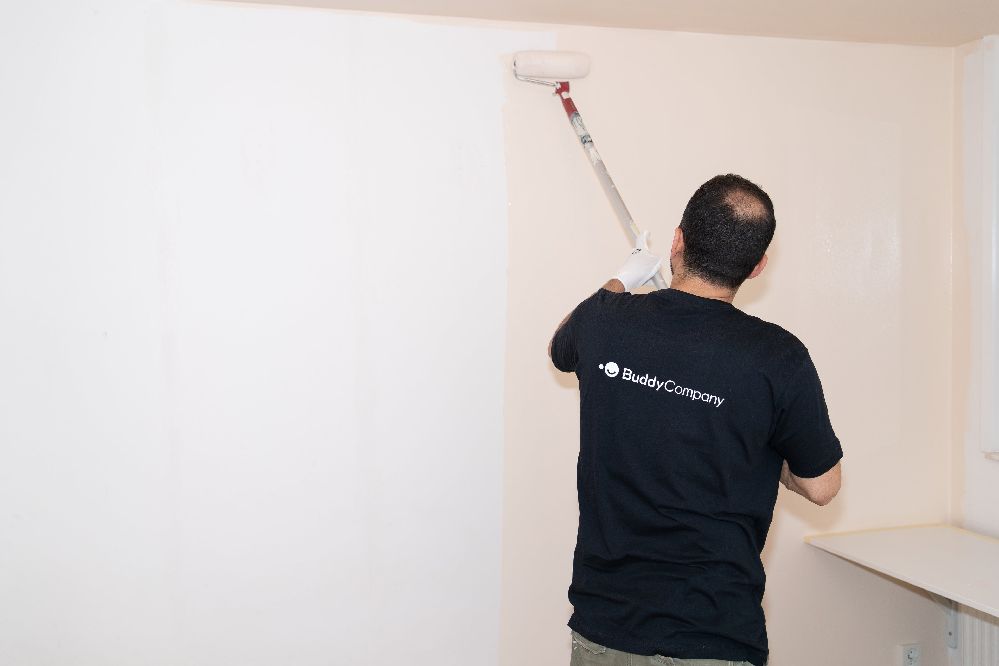 Interior Wall & Ceiling Painting