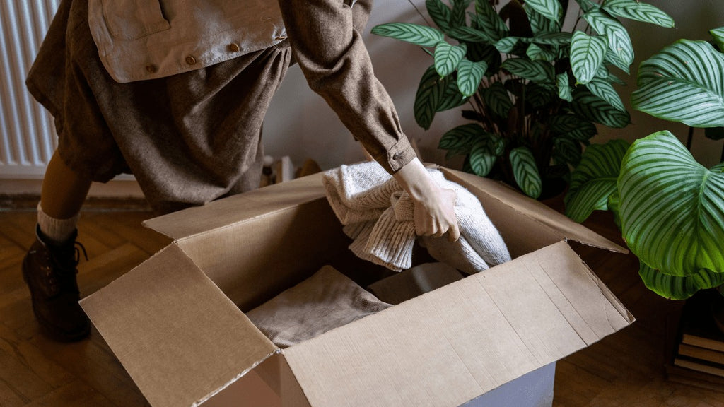 Moving Cleaning