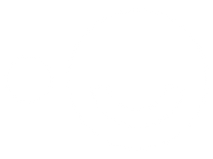BuddyCompany